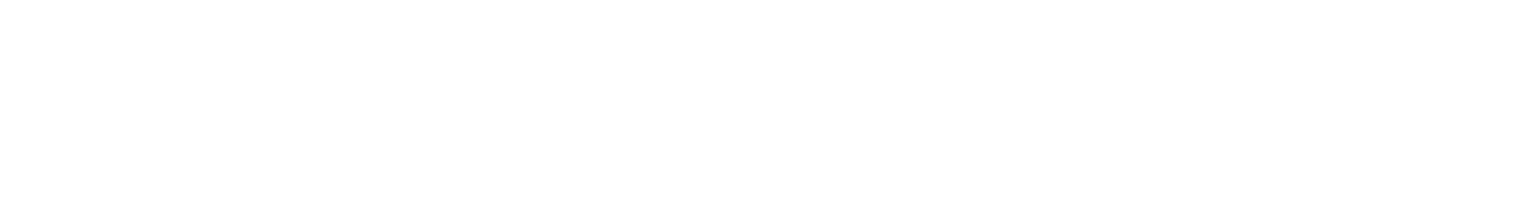 the RISK mascot: a raccoon