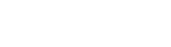 the RISK mascot: a raccoon